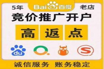 百度推广成功之路：从零到一的实战案例记录